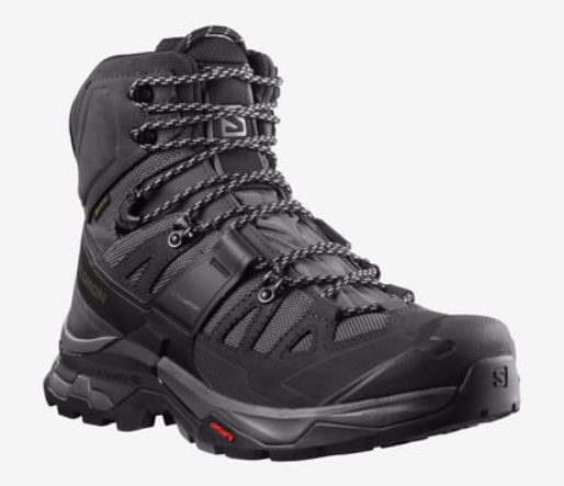 Salomon Quest 4